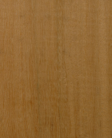 Chengal wood Chengal wood